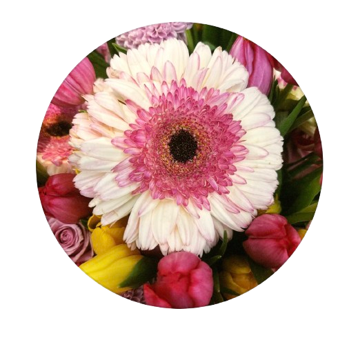 USC Flowers logo